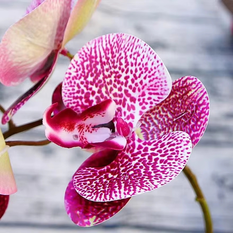 Flores artificiales 3D, maripo - Garden Storage Box reseña y precio